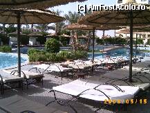 [P04]  -- <small>// FĂRĂ DESCRIERE</small> » foto by tonipatru
 - 
<span class="allrVoted glyphicon glyphicon-heart hidden" id="av6067"></span>
<a class="m-l-10 hidden" id="sv6067" onclick="voting_Foto_DelVot(,6067,1773)" role="button">șterge vot <span class="glyphicon glyphicon-remove"></span></a>
<a id="v96067" class=" c-red"  onclick="voting_Foto_SetVot(6067)" role="button"><span class="glyphicon glyphicon-heart-empty"></span> <b>LIKE</b> = Votează poza</a> <img class="hidden"  id="f6067W9" src="/imagini/loader.gif" border="0" /><span class="AjErrMes hidden" id="e6067ErM"></span>