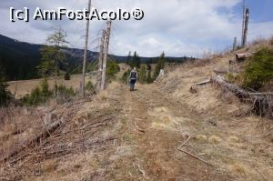 [P14] aici se vede un pic peisajul lasat in urma de taietorii de copaci » foto by fra
 - 
<span class="allrVoted glyphicon glyphicon-heart hidden" id="av730267"></span>
<a class="m-l-10 hidden" id="sv730267" onclick="voting_Foto_DelVot(,730267,1782)" role="button">șterge vot <span class="glyphicon glyphicon-remove"></span></a>
<a id="v9730267" class=" c-red"  onclick="voting_Foto_SetVot(730267)" role="button"><span class="glyphicon glyphicon-heart-empty"></span> <b>LIKE</b> = Votează poza</a> <img class="hidden"  id="f730267W9" src="/imagini/loader.gif" border="0" /><span class="AjErrMes hidden" id="e730267ErM"></span>