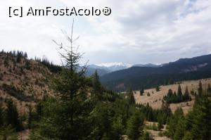 [P19]  -- <small>// FĂRĂ DESCRIERE</small> » foto by fra
 - 
<span class="allrVoted glyphicon glyphicon-heart hidden" id="av730276"></span>
<a class="m-l-10 hidden" id="sv730276" onclick="voting_Foto_DelVot(,730276,1782)" role="button">șterge vot <span class="glyphicon glyphicon-remove"></span></a>
<a id="v9730276" class=" c-red"  onclick="voting_Foto_SetVot(730276)" role="button"><span class="glyphicon glyphicon-heart-empty"></span> <b>LIKE</b> = Votează poza</a> <img class="hidden"  id="f730276W9" src="/imagini/loader.gif" border="0" /><span class="AjErrMes hidden" id="e730276ErM"></span>