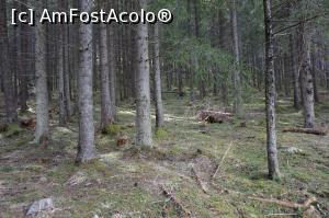 [P07] spre traseul montan 12 apostoli » foto by fra
 - 
<span class="allrVoted glyphicon glyphicon-heart hidden" id="av730257"></span>
<a class="m-l-10 hidden" id="sv730257" onclick="voting_Foto_DelVot(,730257,1782)" role="button">șterge vot <span class="glyphicon glyphicon-remove"></span></a>
<a id="v9730257" class=" c-red"  onclick="voting_Foto_SetVot(730257)" role="button"><span class="glyphicon glyphicon-heart-empty"></span> <b>LIKE</b> = Votează poza</a> <img class="hidden"  id="f730257W9" src="/imagini/loader.gif" border="0" /><span class="AjErrMes hidden" id="e730257ErM"></span>