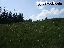 [P15] Mai avem putin pana la nori » foto by Lumis66
 - 
<span class="allrVoted glyphicon glyphicon-heart hidden" id="av203531"></span>
<a class="m-l-10 hidden" id="sv203531" onclick="voting_Foto_DelVot(,203531,1782)" role="button">șterge vot <span class="glyphicon glyphicon-remove"></span></a>
<a id="v9203531" class=" c-red"  onclick="voting_Foto_SetVot(203531)" role="button"><span class="glyphicon glyphicon-heart-empty"></span> <b>LIKE</b> = Votează poza</a> <img class="hidden"  id="f203531W9" src="/imagini/loader.gif" border="0" /><span class="AjErrMes hidden" id="e203531ErM"></span>