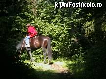 [P02] Calarie pe Dealul Runc din Vatra Dornei . » foto by sportiv
 - 
<span class="allrVoted glyphicon glyphicon-heart hidden" id="av189198"></span>
<a class="m-l-10 hidden" id="sv189198" onclick="voting_Foto_DelVot(,189198,1782)" role="button">șterge vot <span class="glyphicon glyphicon-remove"></span></a>
<a id="v9189198" class=" c-red"  onclick="voting_Foto_SetVot(189198)" role="button"><span class="glyphicon glyphicon-heart-empty"></span> <b>LIKE</b> = Votează poza</a> <img class="hidden"  id="f189198W9" src="/imagini/loader.gif" border="0" /><span class="AjErrMes hidden" id="e189198ErM"></span>