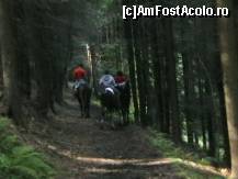 [P03] Mergand calare prin padurea de pe Dealul Runc- Vatra Dornei. » foto by sportiv
 - 
<span class="allrVoted glyphicon glyphicon-heart hidden" id="av189199"></span>
<a class="m-l-10 hidden" id="sv189199" onclick="voting_Foto_DelVot(,189199,1782)" role="button">șterge vot <span class="glyphicon glyphicon-remove"></span></a>
<a id="v9189199" class=" c-red"  onclick="voting_Foto_SetVot(189199)" role="button"><span class="glyphicon glyphicon-heart-empty"></span> <b>LIKE</b> = Votează poza</a> <img class="hidden"  id="f189199W9" src="/imagini/loader.gif" border="0" /><span class="AjErrMes hidden" id="e189199ErM"></span>