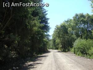 [P05] Drumul către mănăstire șerpuiește pe malul râului Bistrița (aflat în dreapta).  » foto by Floryn81
 - 
<span class="allrVoted glyphicon glyphicon-heart hidden" id="av757541"></span>
<a class="m-l-10 hidden" id="sv757541" onclick="voting_Foto_DelVot(,757541,1782)" role="button">șterge vot <span class="glyphicon glyphicon-remove"></span></a>
<a id="v9757541" class=" c-red"  onclick="voting_Foto_SetVot(757541)" role="button"><span class="glyphicon glyphicon-heart-empty"></span> <b>LIKE</b> = Votează poza</a> <img class="hidden"  id="f757541W9" src="/imagini/loader.gif" border="0" /><span class="AjErrMes hidden" id="e757541ErM"></span>