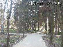 [P01] la plimbare prin parc la Vatra Dornei » foto by cristi82d
 - 
<span class="allrVoted glyphicon glyphicon-heart hidden" id="av103828"></span>
<a class="m-l-10 hidden" id="sv103828" onclick="voting_Foto_DelVot(,103828,1782)" role="button">șterge vot <span class="glyphicon glyphicon-remove"></span></a>
<a id="v9103828" class=" c-red"  onclick="voting_Foto_SetVot(103828)" role="button"><span class="glyphicon glyphicon-heart-empty"></span> <b>LIKE</b> = Votează poza</a> <img class="hidden"  id="f103828W9" src="/imagini/loader.gif" border="0" /><span class="AjErrMes hidden" id="e103828ErM"></span>