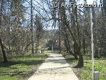 [P04] un izvor in parc, apa e f buna » foto by cristi82d
 - 
<span class="allrVoted glyphicon glyphicon-heart hidden" id="av103831"></span>
<a class="m-l-10 hidden" id="sv103831" onclick="voting_Foto_DelVot(,103831,1782)" role="button">șterge vot <span class="glyphicon glyphicon-remove"></span></a>
<a id="v9103831" class=" c-red"  onclick="voting_Foto_SetVot(103831)" role="button"><span class="glyphicon glyphicon-heart-empty"></span> <b>LIKE</b> = Votează poza</a> <img class="hidden"  id="f103831W9" src="/imagini/loader.gif" border="0" /><span class="AjErrMes hidden" id="e103831ErM"></span>