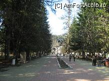 [P09] aleea principala din parc » foto by cristi82d
 - 
<span class="allrVoted glyphicon glyphicon-heart hidden" id="av103836"></span>
<a class="m-l-10 hidden" id="sv103836" onclick="voting_Foto_DelVot(,103836,1782)" role="button">șterge vot <span class="glyphicon glyphicon-remove"></span></a>
<a id="v9103836" class=" c-red"  onclick="voting_Foto_SetVot(103836)" role="button"><span class="glyphicon glyphicon-heart-empty"></span> <b>LIKE</b> = Votează poza</a> <img class="hidden"  id="f103836W9" src="/imagini/loader.gif" border="0" /><span class="AjErrMes hidden" id="e103836ErM"></span>