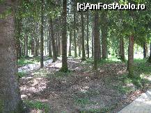 [P13x] parcul din Vatra Dornei, este foarte intins, este o zona superba » foto by cristi82d
 - 
<span class="allrVoted glyphicon glyphicon-heart hidden" id="av27222"></span>
<a class="m-l-10 hidden" id="sv27222" onclick="voting_Foto_DelVot(,27222,1782)" role="button">șterge vot <span class="glyphicon glyphicon-remove"></span></a>
<a id="v927222" class=" c-red"  onclick="voting_Foto_SetVot(27222)" role="button"><span class="glyphicon glyphicon-heart-empty"></span> <b>LIKE</b> = Votează poza</a> <img class="hidden"  id="f27222W9" src="/imagini/loader.gif" border="0" /><span class="AjErrMes hidden" id="e27222ErM"></span>