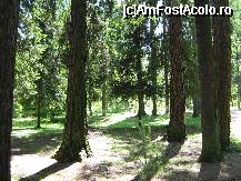[P15x] la plimbare prin parcul din Vatra Dornei » foto by cristi82d
 - 
<span class="allrVoted glyphicon glyphicon-heart hidden" id="av27225"></span>
<a class="m-l-10 hidden" id="sv27225" onclick="voting_Foto_DelVot(,27225,1782)" role="button">șterge vot <span class="glyphicon glyphicon-remove"></span></a>
<a id="v927225" class=" c-red"  onclick="voting_Foto_SetVot(27225)" role="button"><span class="glyphicon glyphicon-heart-empty"></span> <b>LIKE</b> = Votează poza</a> <img class="hidden"  id="f27225W9" src="/imagini/loader.gif" border="0" /><span class="AjErrMes hidden" id="e27225ErM"></span>
