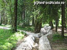 [P20x] acest paraias curge de la un capat la altul al parcului din Vatra Dornei » foto by cristi82d
 - 
<span class="allrVoted glyphicon glyphicon-heart hidden" id="av27231"></span>
<a class="m-l-10 hidden" id="sv27231" onclick="voting_Foto_DelVot(,27231,1782)" role="button">șterge vot <span class="glyphicon glyphicon-remove"></span></a>
<a id="v927231" class=" c-red"  onclick="voting_Foto_SetVot(27231)" role="button"><span class="glyphicon glyphicon-heart-empty"></span> <b>LIKE</b> = Votează poza</a> <img class="hidden"  id="f27231W9" src="/imagini/loader.gif" border="0" /><span class="AjErrMes hidden" id="e27231ErM"></span>