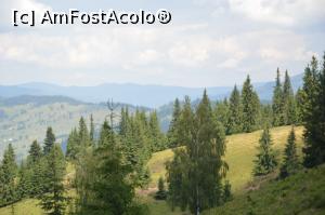 [P14] Dealul Negru, Vatra Dornei, jud. Suceava.  » foto by traian.leuca †
 - 
<span class="allrVoted glyphicon glyphicon-heart hidden" id="av1062000"></span>
<a class="m-l-10 hidden" id="sv1062000" onclick="voting_Foto_DelVot(,1062000,1782)" role="button">șterge vot <span class="glyphicon glyphicon-remove"></span></a>
<a id="v91062000" class=" c-red"  onclick="voting_Foto_SetVot(1062000)" role="button"><span class="glyphicon glyphicon-heart-empty"></span> <b>LIKE</b> = Votează poza</a> <img class="hidden"  id="f1062000W9" src="/imagini/loader.gif" border="0" /><span class="AjErrMes hidden" id="e1062000ErM"></span>