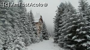 [P18] Fosta vilă de protocol a lui Ceaşescu (azi ruină) de lângă fosta carieră de sulf din Parcul Naţional Călimani, comuna Şaru Dornei, sat Gura Haitii, jud. Suceava.  » foto by traian.leuca † <span class="label label-default labelC_thin small">NEVOTABILĂ</span>