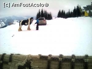 [P26] Vatra Dornei, fotografie de la punctul de sosire cu telescaunul de la partia Dealu Negru, calul cu care se fac plimbarile » foto by Dana2008
 - 
<span class="allrVoted glyphicon glyphicon-heart hidden" id="av831453"></span>
<a class="m-l-10 hidden" id="sv831453" onclick="voting_Foto_DelVot(,831453,1782)" role="button">șterge vot <span class="glyphicon glyphicon-remove"></span></a>
<a id="v9831453" class=" c-red"  onclick="voting_Foto_SetVot(831453)" role="button"><span class="glyphicon glyphicon-heart-empty"></span> <b>LIKE</b> = Votează poza</a> <img class="hidden"  id="f831453W9" src="/imagini/loader.gif" border="0" /><span class="AjErrMes hidden" id="e831453ErM"></span>