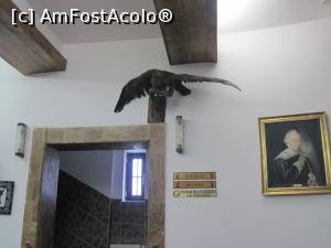 [P41] Vatra Dornei, Hotel Castel Dracula***, receptia » foto by Dana2008
 - 
<span class="allrVoted glyphicon glyphicon-heart hidden" id="av831468"></span>
<a class="m-l-10 hidden" id="sv831468" onclick="voting_Foto_DelVot(,831468,1782)" role="button">șterge vot <span class="glyphicon glyphicon-remove"></span></a>
<a id="v9831468" class=" c-red"  onclick="voting_Foto_SetVot(831468)" role="button"><span class="glyphicon glyphicon-heart-empty"></span> <b>LIKE</b> = Votează poza</a> <img class="hidden"  id="f831468W9" src="/imagini/loader.gif" border="0" /><span class="AjErrMes hidden" id="e831468ErM"></span>