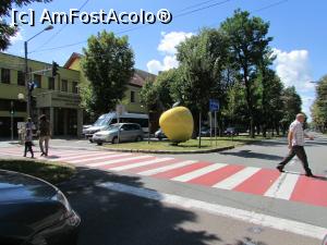 [P58] Bistrița are și... mere!  » foto by crismis
 - 
<span class="allrVoted glyphicon glyphicon-heart hidden" id="av785449"></span>
<a class="m-l-10 hidden" id="sv785449" onclick="voting_Foto_DelVot(,785449,1782)" role="button">șterge vot <span class="glyphicon glyphicon-remove"></span></a>
<a id="v9785449" class=" c-red"  onclick="voting_Foto_SetVot(785449)" role="button"><span class="glyphicon glyphicon-heart-empty"></span> <b>LIKE</b> = Votează poza</a> <img class="hidden"  id="f785449W9" src="/imagini/loader.gif" border="0" /><span class="AjErrMes hidden" id="e785449ErM"></span>