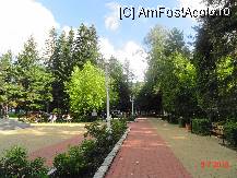 [P14] aleea principala a parcului municipal » foto by cosminp
 - 
<span class="allrVoted glyphicon glyphicon-heart hidden" id="av103572"></span>
<a class="m-l-10 hidden" id="sv103572" onclick="voting_Foto_DelVot(,103572,1782)" role="button">șterge vot <span class="glyphicon glyphicon-remove"></span></a>
<a id="v9103572" class=" c-red"  onclick="voting_Foto_SetVot(103572)" role="button"><span class="glyphicon glyphicon-heart-empty"></span> <b>LIKE</b> = Votează poza</a> <img class="hidden"  id="f103572W9" src="/imagini/loader.gif" border="0" /><span class="AjErrMes hidden" id="e103572ErM"></span>