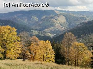 [P08] Suntem în Bucovina » foto by Marius 72
 - 
<span class="allrVoted glyphicon glyphicon-heart hidden" id="av1199294"></span>
<a class="m-l-10 hidden" id="sv1199294" onclick="voting_Foto_DelVot(,1199294,1782)" role="button">șterge vot <span class="glyphicon glyphicon-remove"></span></a>
<a id="v91199294" class=" c-red"  onclick="voting_Foto_SetVot(1199294)" role="button"><span class="glyphicon glyphicon-heart-empty"></span> <b>LIKE</b> = Votează poza</a> <img class="hidden"  id="f1199294W9" src="/imagini/loader.gif" border="0" /><span class="AjErrMes hidden" id="e1199294ErM"></span>