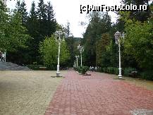 [P11] aleea principala a parcului, strajuita de busturile marilor personalitati culturale ale Romaniei » foto by valimi
 - 
<span class="allrVoted glyphicon glyphicon-heart hidden" id="av142368"></span>
<a class="m-l-10 hidden" id="sv142368" onclick="voting_Foto_DelVot(,142368,1782)" role="button">șterge vot <span class="glyphicon glyphicon-remove"></span></a>
<a id="v9142368" class=" c-red"  onclick="voting_Foto_SetVot(142368)" role="button"><span class="glyphicon glyphicon-heart-empty"></span> <b>LIKE</b> = Votează poza</a> <img class="hidden"  id="f142368W9" src="/imagini/loader.gif" border="0" /><span class="AjErrMes hidden" id="e142368ErM"></span>
