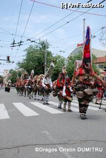 [P03] Festivalul Trandafirilor, Kazanlak - Bulgaria 2008 » foto by cristinadumitru*
 - 
<span class="allrVoted glyphicon glyphicon-heart hidden" id="av6182"></span>
<a class="m-l-10 hidden" id="sv6182" onclick="voting_Foto_DelVot(,6182,1785)" role="button">șterge vot <span class="glyphicon glyphicon-remove"></span></a>
<a id="v96182" class=" c-red"  onclick="voting_Foto_SetVot(6182)" role="button"><span class="glyphicon glyphicon-heart-empty"></span> <b>LIKE</b> = Votează poza</a> <img class="hidden"  id="f6182W9" src="/imagini/loader.gif" border="0" /><span class="AjErrMes hidden" id="e6182ErM"></span>