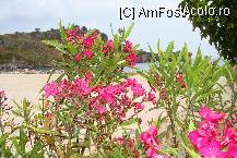 [P30] In Portul Ag.Nikolaos  (nordul insulei) de unde se ia o ambarcatiune ptr. Navayo. » foto by nusha2160
 - 
<span class="allrVoted glyphicon glyphicon-heart hidden" id="av106187"></span>
<a class="m-l-10 hidden" id="sv106187" onclick="voting_Foto_DelVot(,106187,1787)" role="button">șterge vot <span class="glyphicon glyphicon-remove"></span></a>
<a id="v9106187" class=" c-red"  onclick="voting_Foto_SetVot(106187)" role="button"><span class="glyphicon glyphicon-heart-empty"></span> <b>LIKE</b> = Votează poza</a> <img class="hidden"  id="f106187W9" src="/imagini/loader.gif" border="0" /><span class="AjErrMes hidden" id="e106187ErM"></span>