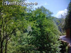 [P12] Transfăgărășan » foto by Mioritik
 - 
<span class="allrVoted glyphicon glyphicon-heart hidden" id="av1268285"></span>
<a class="m-l-10 hidden" id="sv1268285" onclick="voting_Foto_DelVot(,1268285,1790)" role="button">șterge vot <span class="glyphicon glyphicon-remove"></span></a>
<a id="v91268285" class=" c-red"  onclick="voting_Foto_SetVot(1268285)" role="button"><span class="glyphicon glyphicon-heart-empty"></span> <b>LIKE</b> = Votează poza</a> <img class="hidden"  id="f1268285W9" src="/imagini/loader.gif" border="0" /><span class="AjErrMes hidden" id="e1268285ErM"></span>