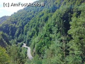 [P21] Transfăgărășan » foto by Mioritik
 - 
<span class="allrVoted glyphicon glyphicon-heart hidden" id="av1268294"></span>
<a class="m-l-10 hidden" id="sv1268294" onclick="voting_Foto_DelVot(,1268294,1790)" role="button">șterge vot <span class="glyphicon glyphicon-remove"></span></a>
<a id="v91268294" class=" c-red"  onclick="voting_Foto_SetVot(1268294)" role="button"><span class="glyphicon glyphicon-heart-empty"></span> <b>LIKE</b> = Votează poza</a> <img class="hidden"  id="f1268294W9" src="/imagini/loader.gif" border="0" /><span class="AjErrMes hidden" id="e1268294ErM"></span>