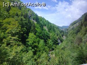 [P22] Transfăgărășan » foto by Mioritik
 - 
<span class="allrVoted glyphicon glyphicon-heart hidden" id="av1268295"></span>
<a class="m-l-10 hidden" id="sv1268295" onclick="voting_Foto_DelVot(,1268295,1790)" role="button">șterge vot <span class="glyphicon glyphicon-remove"></span></a>
<a id="v91268295" class=" c-red"  onclick="voting_Foto_SetVot(1268295)" role="button"><span class="glyphicon glyphicon-heart-empty"></span> <b>LIKE</b> = Votează poza</a> <img class="hidden"  id="f1268295W9" src="/imagini/loader.gif" border="0" /><span class="AjErrMes hidden" id="e1268295ErM"></span>