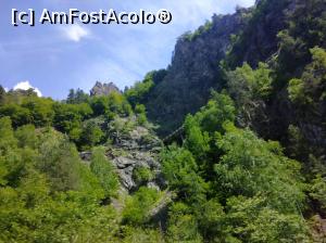 [P24] Transfăgărășan » foto by Mioritik
 - 
<span class="allrVoted glyphicon glyphicon-heart hidden" id="av1268297"></span>
<a class="m-l-10 hidden" id="sv1268297" onclick="voting_Foto_DelVot(,1268297,1790)" role="button">șterge vot <span class="glyphicon glyphicon-remove"></span></a>
<a id="v91268297" class=" c-red"  onclick="voting_Foto_SetVot(1268297)" role="button"><span class="glyphicon glyphicon-heart-empty"></span> <b>LIKE</b> = Votează poza</a> <img class="hidden"  id="f1268297W9" src="/imagini/loader.gif" border="0" /><span class="AjErrMes hidden" id="e1268297ErM"></span>
