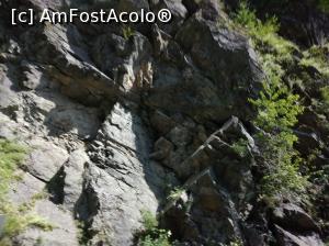 [P08] Transfăgărășan » foto by Mioritik
 - 
<span class="allrVoted glyphicon glyphicon-heart hidden" id="av1268281"></span>
<a class="m-l-10 hidden" id="sv1268281" onclick="voting_Foto_DelVot(,1268281,1790)" role="button">șterge vot <span class="glyphicon glyphicon-remove"></span></a>
<a id="v91268281" class=" c-red"  onclick="voting_Foto_SetVot(1268281)" role="button"><span class="glyphicon glyphicon-heart-empty"></span> <b>LIKE</b> = Votează poza</a> <img class="hidden"  id="f1268281W9" src="/imagini/loader.gif" border="0" /><span class="AjErrMes hidden" id="e1268281ErM"></span>