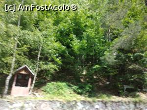 [P09] Transfăgărășan » foto by Mioritik
 - 
<span class="allrVoted glyphicon glyphicon-heart hidden" id="av1268282"></span>
<a class="m-l-10 hidden" id="sv1268282" onclick="voting_Foto_DelVot(,1268282,1790)" role="button">șterge vot <span class="glyphicon glyphicon-remove"></span></a>
<a id="v91268282" class=" c-red"  onclick="voting_Foto_SetVot(1268282)" role="button"><span class="glyphicon glyphicon-heart-empty"></span> <b>LIKE</b> = Votează poza</a> <img class="hidden"  id="f1268282W9" src="/imagini/loader.gif" border="0" /><span class="AjErrMes hidden" id="e1268282ErM"></span>