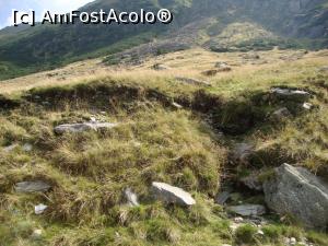 [P16] Am coborât de câteva ori din mașină pentru a ne bucura de aerul tare de aici.  » foto by Floryn81
 - 
<span class="allrVoted glyphicon glyphicon-heart hidden" id="av719049"></span>
<a class="m-l-10 hidden" id="sv719049" onclick="voting_Foto_DelVot(,719049,1790)" role="button">șterge vot <span class="glyphicon glyphicon-remove"></span></a>
<a id="v9719049" class=" c-red"  onclick="voting_Foto_SetVot(719049)" role="button"><span class="glyphicon glyphicon-heart-empty"></span> <b>LIKE</b> = Votează poza</a> <img class="hidden"  id="f719049W9" src="/imagini/loader.gif" border="0" /><span class="AjErrMes hidden" id="e719049ErM"></span>