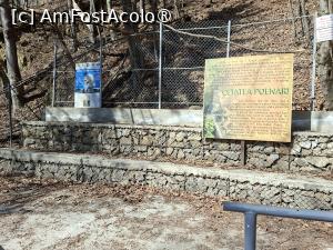 [P07] Cetatea Poenari, loc de popas la 500 de trete... » foto by mprofeanu
 - 
<span class="allrVoted glyphicon glyphicon-heart hidden" id="av1521288"></span>
<a class="m-l-10 hidden" id="sv1521288" onclick="voting_Foto_DelVot(,1521288,1790)" role="button">șterge vot <span class="glyphicon glyphicon-remove"></span></a>
<a id="v91521288" class=" c-red"  onclick="voting_Foto_SetVot(1521288)" role="button"><span class="glyphicon glyphicon-heart-empty"></span> <b>LIKE</b> = Votează poza</a> <img class="hidden"  id="f1521288W9" src="/imagini/loader.gif" border="0" /><span class="AjErrMes hidden" id="e1521288ErM"></span>