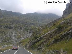 [P14] ... privelisti minunate pe TRANSFAGARASAN » foto by danadana*
 - 
<span class="allrVoted glyphicon glyphicon-heart hidden" id="av567982"></span>
<a class="m-l-10 hidden" id="sv567982" onclick="voting_Foto_DelVot(,567982,1790)" role="button">șterge vot <span class="glyphicon glyphicon-remove"></span></a>
<a id="v9567982" class=" c-red"  onclick="voting_Foto_SetVot(567982)" role="button"><span class="glyphicon glyphicon-heart-empty"></span> <b>LIKE</b> = Votează poza</a> <img class="hidden"  id="f567982W9" src="/imagini/loader.gif" border="0" /><span class="AjErrMes hidden" id="e567982ErM"></span>