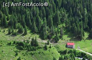 [P12] DN7C, Transfăgărășan - ghicitoarea era cu câmpul alb, oile negre...  » foto by Dragoș_MD
 - 
<span class="allrVoted glyphicon glyphicon-heart hidden" id="av817835"></span>
<a class="m-l-10 hidden" id="sv817835" onclick="voting_Foto_DelVot(,817835,1790)" role="button">șterge vot <span class="glyphicon glyphicon-remove"></span></a>
<a id="v9817835" class=" c-red"  onclick="voting_Foto_SetVot(817835)" role="button"><span class="glyphicon glyphicon-heart-empty"></span> <b>LIKE</b> = Votează poza</a> <img class="hidden"  id="f817835W9" src="/imagini/loader.gif" border="0" /><span class="AjErrMes hidden" id="e817835ErM"></span>