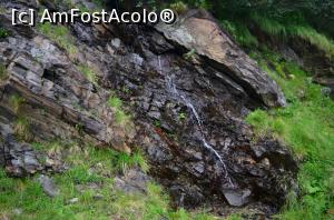 [P17] DN7C, Transfăgărășan - izvor » foto by Dragoș_MD
 - 
<span class="allrVoted glyphicon glyphicon-heart hidden" id="av817840"></span>
<a class="m-l-10 hidden" id="sv817840" onclick="voting_Foto_DelVot(,817840,1790)" role="button">șterge vot <span class="glyphicon glyphicon-remove"></span></a>
<a id="v9817840" class=" c-red"  onclick="voting_Foto_SetVot(817840)" role="button"><span class="glyphicon glyphicon-heart-empty"></span> <b>LIKE</b> = Votează poza</a> <img class="hidden"  id="f817840W9" src="/imagini/loader.gif" border="0" /><span class="AjErrMes hidden" id="e817840ErM"></span>