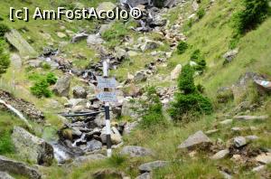 [P06] DN7C, Transfăgărășan - trasee » foto by Dragoș_MD
 - 
<span class="allrVoted glyphicon glyphicon-heart hidden" id="av817829"></span>
<a class="m-l-10 hidden" id="sv817829" onclick="voting_Foto_DelVot(,817829,1790)" role="button">șterge vot <span class="glyphicon glyphicon-remove"></span></a>
<a id="v9817829" class=" c-red"  onclick="voting_Foto_SetVot(817829)" role="button"><span class="glyphicon glyphicon-heart-empty"></span> <b>LIKE</b> = Votează poza</a> <img class="hidden"  id="f817829W9" src="/imagini/loader.gif" border="0" /><span class="AjErrMes hidden" id="e817829ErM"></span>