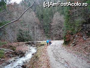 [P12] langa pensiunea si pastravaria 'Vidraru' » foto by simon_niculae
 - 
<span class="allrVoted glyphicon glyphicon-heart hidden" id="av698054"></span>
<a class="m-l-10 hidden" id="sv698054" onclick="voting_Foto_DelVot(,698054,1790)" role="button">șterge vot <span class="glyphicon glyphicon-remove"></span></a>
<a id="v9698054" class=" c-red"  onclick="voting_Foto_SetVot(698054)" role="button"><span class="glyphicon glyphicon-heart-empty"></span> <b>LIKE</b> = Votează poza</a> <img class="hidden"  id="f698054W9" src="/imagini/loader.gif" border="0" /><span class="AjErrMes hidden" id="e698054ErM"></span>