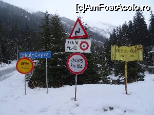 [P13] Ce putin mai era! 12 km!  » foto by simon_niculae
 - 
<span class="allrVoted glyphicon glyphicon-heart hidden" id="av698055"></span>
<a class="m-l-10 hidden" id="sv698055" onclick="voting_Foto_DelVot(,698055,1790)" role="button">șterge vot <span class="glyphicon glyphicon-remove"></span></a>
<a id="v9698055" class=" c-red"  onclick="voting_Foto_SetVot(698055)" role="button"><span class="glyphicon glyphicon-heart-empty"></span> <b>LIKE</b> = Votează poza</a> <img class="hidden"  id="f698055W9" src="/imagini/loader.gif" border="0" /><span class="AjErrMes hidden" id="e698055ErM"></span>