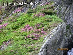 [P01] Ce frumoşi sunt munţii noştri...  » foto by CATAAS
 - 
<span class="allrVoted glyphicon glyphicon-heart hidden" id="av849799"></span>
<a class="m-l-10 hidden" id="sv849799" onclick="voting_Foto_DelVot(,849799,1790)" role="button">șterge vot <span class="glyphicon glyphicon-remove"></span></a>
<a id="v9849799" class=" c-red"  onclick="voting_Foto_SetVot(849799)" role="button"><span class="glyphicon glyphicon-heart-empty"></span> <b>LIKE</b> = Votează poza</a> <img class="hidden"  id="f849799W9" src="/imagini/loader.gif" border="0" /><span class="AjErrMes hidden" id="e849799ErM"></span>