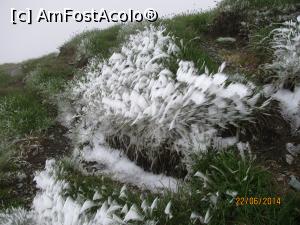 [P10] Bine că nu suntem în şlapi...  » foto by CATAAS
 - 
<span class="allrVoted glyphicon glyphicon-heart hidden" id="av849808"></span>
<a class="m-l-10 hidden" id="sv849808" onclick="voting_Foto_DelVot(,849808,1790)" role="button">șterge vot <span class="glyphicon glyphicon-remove"></span></a>
<a id="v9849808" class=" c-red"  onclick="voting_Foto_SetVot(849808)" role="button"><span class="glyphicon glyphicon-heart-empty"></span> <b>LIKE</b> = Votează poza</a> <img class="hidden"  id="f849808W9" src="/imagini/loader.gif" border="0" /><span class="AjErrMes hidden" id="e849808ErM"></span>