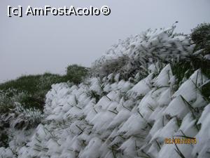 [P11] Fără cuvinte!  » foto by CATAAS
 - 
<span class="allrVoted glyphicon glyphicon-heart hidden" id="av849809"></span>
<a class="m-l-10 hidden" id="sv849809" onclick="voting_Foto_DelVot(,849809,1790)" role="button">șterge vot <span class="glyphicon glyphicon-remove"></span></a>
<a id="v9849809" class=" c-red"  onclick="voting_Foto_SetVot(849809)" role="button"><span class="glyphicon glyphicon-heart-empty"></span> <b>LIKE</b> = Votează poza</a> <img class="hidden"  id="f849809W9" src="/imagini/loader.gif" border="0" /><span class="AjErrMes hidden" id="e849809ErM"></span>