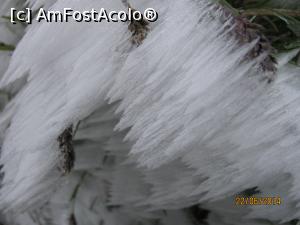 [P12] Oare aşa voi arăta şi eu la întoarcere?  » foto by CATAAS
 - 
<span class="allrVoted glyphicon glyphicon-heart hidden" id="av849810"></span>
<a class="m-l-10 hidden" id="sv849810" onclick="voting_Foto_DelVot(,849810,1790)" role="button">șterge vot <span class="glyphicon glyphicon-remove"></span></a>
<a id="v9849810" class=" c-red"  onclick="voting_Foto_SetVot(849810)" role="button"><span class="glyphicon glyphicon-heart-empty"></span> <b>LIKE</b> = Votează poza</a> <img class="hidden"  id="f849810W9" src="/imagini/loader.gif" border="0" /><span class="AjErrMes hidden" id="e849810ErM"></span>