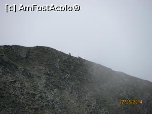 [P07] Imagine rară-capre negre » foto by CATAAS
 - 
<span class="allrVoted glyphicon glyphicon-heart hidden" id="av849805"></span>
<a class="m-l-10 hidden" id="sv849805" onclick="voting_Foto_DelVot(,849805,1790)" role="button">șterge vot <span class="glyphicon glyphicon-remove"></span></a>
<a id="v9849805" class=" c-red"  onclick="voting_Foto_SetVot(849805)" role="button"><span class="glyphicon glyphicon-heart-empty"></span> <b>LIKE</b> = Votează poza</a> <img class="hidden"  id="f849805W9" src="/imagini/loader.gif" border="0" /><span class="AjErrMes hidden" id="e849805ErM"></span>