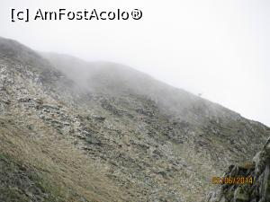 [P08] Mă gândesc să mai urcăm o dată muntele şi anul acesta, poate o mai găsim acolo...  » foto by CATAAS
 - 
<span class="allrVoted glyphicon glyphicon-heart hidden" id="av849806"></span>
<a class="m-l-10 hidden" id="sv849806" onclick="voting_Foto_DelVot(,849806,1790)" role="button">șterge vot <span class="glyphicon glyphicon-remove"></span></a>
<a id="v9849806" class=" c-red"  onclick="voting_Foto_SetVot(849806)" role="button"><span class="glyphicon glyphicon-heart-empty"></span> <b>LIKE</b> = Votează poza</a> <img class="hidden"  id="f849806W9" src="/imagini/loader.gif" border="0" /><span class="AjErrMes hidden" id="e849806ErM"></span>