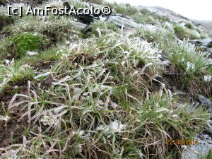 [P09] Natura e încă îngheţată » foto by CATAAS
 - 
<span class="allrVoted glyphicon glyphicon-heart hidden" id="av849807"></span>
<a class="m-l-10 hidden" id="sv849807" onclick="voting_Foto_DelVot(,849807,1790)" role="button">șterge vot <span class="glyphicon glyphicon-remove"></span></a>
<a id="v9849807" class=" c-red"  onclick="voting_Foto_SetVot(849807)" role="button"><span class="glyphicon glyphicon-heart-empty"></span> <b>LIKE</b> = Votează poza</a> <img class="hidden"  id="f849807W9" src="/imagini/loader.gif" border="0" /><span class="AjErrMes hidden" id="e849807ErM"></span>