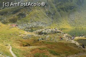[P14] Transfagarasan, sept. 2016 » foto by Dana2008
 - 
<span class="allrVoted glyphicon glyphicon-heart hidden" id="av822296"></span>
<a class="m-l-10 hidden" id="sv822296" onclick="voting_Foto_DelVot(,822296,1790)" role="button">șterge vot <span class="glyphicon glyphicon-remove"></span></a>
<a id="v9822296" class=" c-red"  onclick="voting_Foto_SetVot(822296)" role="button"><span class="glyphicon glyphicon-heart-empty"></span> <b>LIKE</b> = Votează poza</a> <img class="hidden"  id="f822296W9" src="/imagini/loader.gif" border="0" /><span class="AjErrMes hidden" id="e822296ErM"></span>