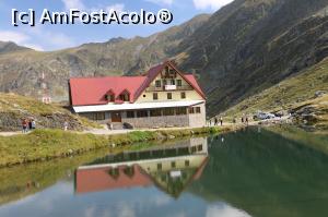 [P07]  -- <small>// FĂRĂ DESCRIERE</small> » foto by Dana2008
 - 
<span class="allrVoted glyphicon glyphicon-heart hidden" id="av822289"></span>
<a class="m-l-10 hidden" id="sv822289" onclick="voting_Foto_DelVot(,822289,1790)" role="button">șterge vot <span class="glyphicon glyphicon-remove"></span></a>
<a id="v9822289" class=" c-red"  onclick="voting_Foto_SetVot(822289)" role="button"><span class="glyphicon glyphicon-heart-empty"></span> <b>LIKE</b> = Votează poza</a> <img class="hidden"  id="f822289W9" src="/imagini/loader.gif" border="0" /><span class="AjErrMes hidden" id="e822289ErM"></span>