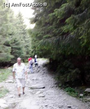 [P04] Coborand de la Cascada Balea,  » foto by calatorul
 - 
<span class="allrVoted glyphicon glyphicon-heart hidden" id="av1100599"></span>
<a class="m-l-10 hidden" id="sv1100599" onclick="voting_Foto_DelVot(,1100599,1790)" role="button">șterge vot <span class="glyphicon glyphicon-remove"></span></a>
<a id="v91100599" class=" c-red"  onclick="voting_Foto_SetVot(1100599)" role="button"><span class="glyphicon glyphicon-heart-empty"></span> <b>LIKE</b> = Votează poza</a> <img class="hidden"  id="f1100599W9" src="/imagini/loader.gif" border="0" /><span class="AjErrMes hidden" id="e1100599ErM"></span>