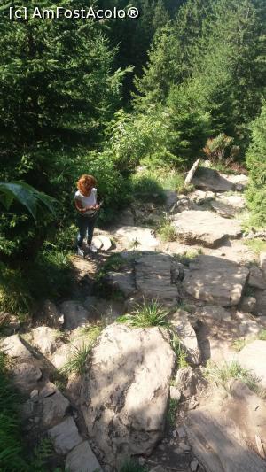 [P07] Pe drumul de urcare catre Balea Cascada » foto by calatorul
 - 
<span class="allrVoted glyphicon glyphicon-heart hidden" id="av1102546"></span>
<a class="m-l-10 hidden" id="sv1102546" onclick="voting_Foto_DelVot(,1102546,1790)" role="button">șterge vot <span class="glyphicon glyphicon-remove"></span></a>
<a id="v91102546" class=" c-red"  onclick="voting_Foto_SetVot(1102546)" role="button"><span class="glyphicon glyphicon-heart-empty"></span> <b>LIKE</b> = Votează poza</a> <img class="hidden"  id="f1102546W9" src="/imagini/loader.gif" border="0" /><span class="AjErrMes hidden" id="e1102546ErM"></span>