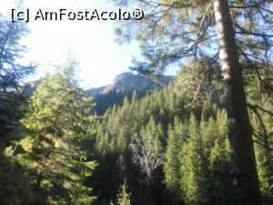 [P01] Pădurea era încă verde in luna noiembrie » foto by zlatna
 - 
<span class="allrVoted glyphicon glyphicon-heart hidden" id="av959026"></span>
<a class="m-l-10 hidden" id="sv959026" onclick="voting_Foto_DelVot(,959026,1790)" role="button">șterge vot <span class="glyphicon glyphicon-remove"></span></a>
<a id="v9959026" class=" c-red"  onclick="voting_Foto_SetVot(959026)" role="button"><span class="glyphicon glyphicon-heart-empty"></span> <b>LIKE</b> = Votează poza</a> <img class="hidden"  id="f959026W9" src="/imagini/loader.gif" border="0" /><span class="AjErrMes hidden" id="e959026ErM"></span>